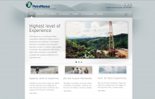 PetroWebsite