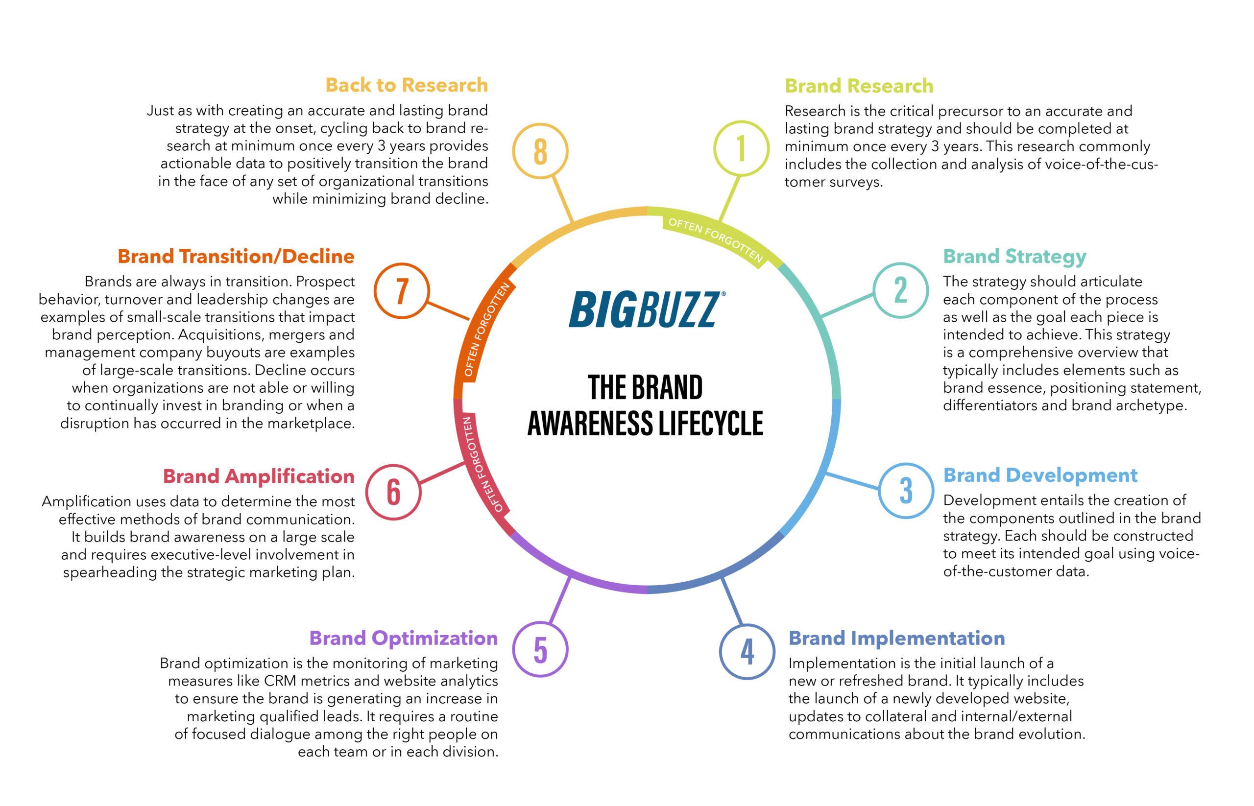 The brand life cycle