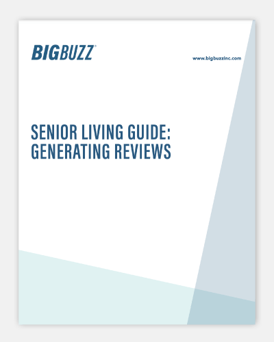 Big Buzz Inc. – Generating Reviews Big Buzz Inc. - Generating Reviews