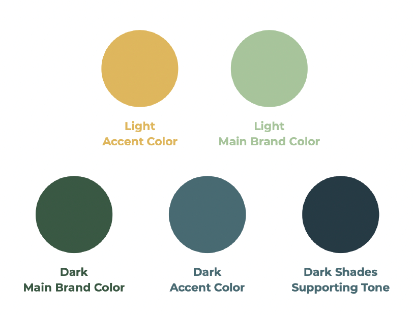 Colors Colors