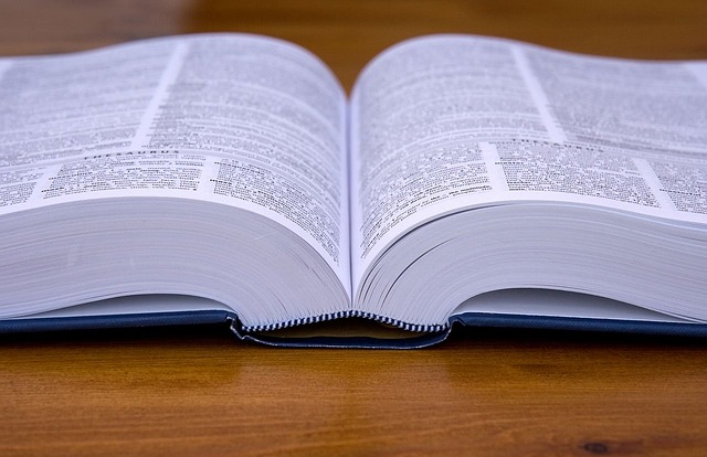 BBB-DD3Excerpt1 Dictionary